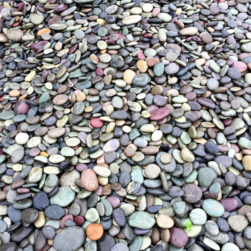 天然鹅卵石扁石头铺路石子园艺鱼缸石头雨花石鹅暖石铺地