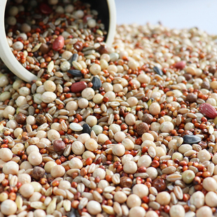 鸽子粮食鸽料无玉米营养鸽粮五谷杂粮鸟食信鸽赛鸽肉食鸽20斤包邮