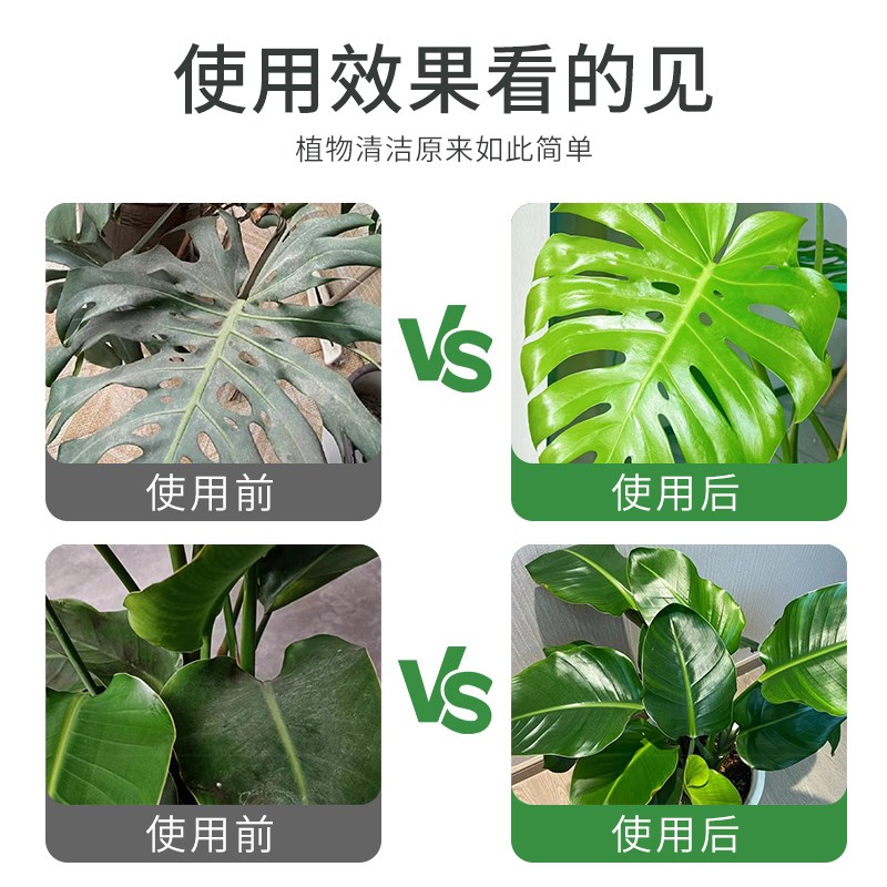 贝可施花卉除污剂一喷净植物叶面光亮清洁洗剂旗免稀释叶面肥料