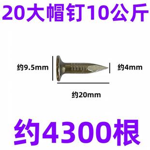 钉固沥青瓦大帽钉钢钉瓦片油毡钉房屋面顶水泥钉玻纤瓦木板钉25mm