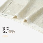 档k2024新款 夏季 薄款 有内女士内裤 凉感透气女生三角裤