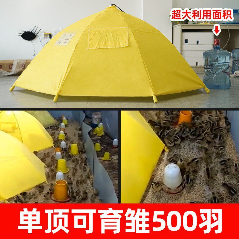 育雏伞育b雏保温器养殖取暖设备自动保温伞控温伞养鸡设备
