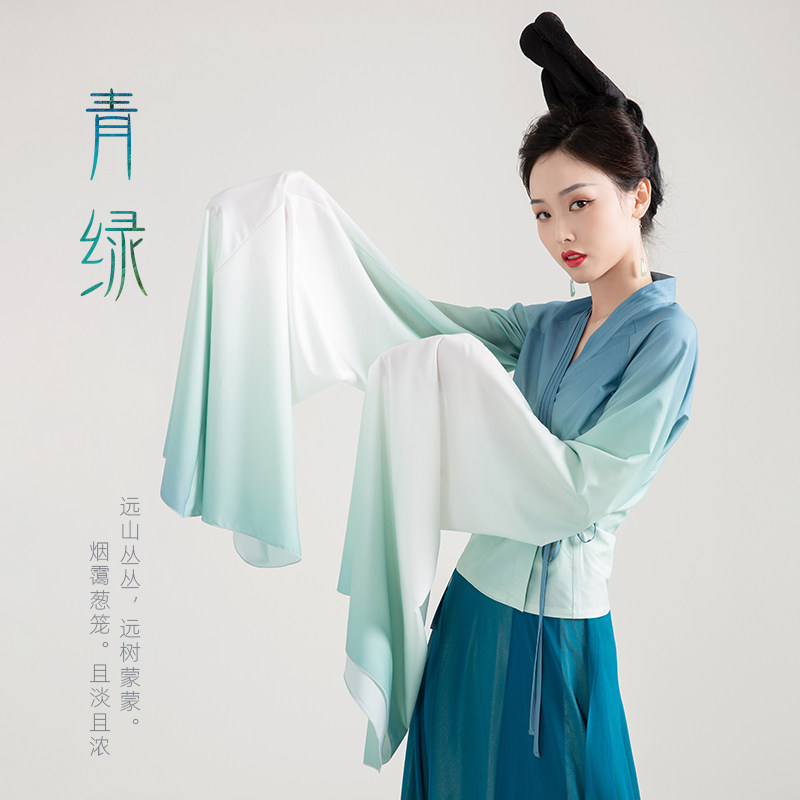 只此青绿腰古典舞水袖练功服国风B中国舞剧目表演服艺考水袖舞蹈