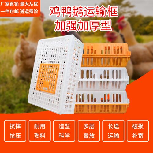 鸡笼运输笼塑料家禽周转箱筐v成鸡鸭鹅鸽子笼子兔笼养殖笼家用大