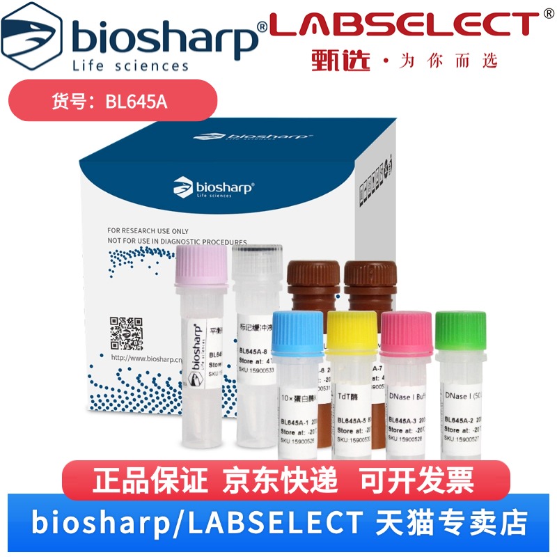 现货 TUNEL细胞凋亡检测试剂盒（FITC 绿色荧光标记法） BL645A 20T Biosharp/白鲨 科研实验