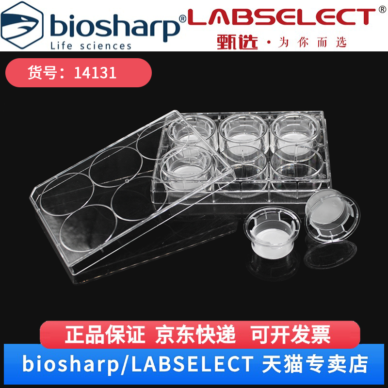 现货 细胞培养小室,含6孔板(PC膜,24mm,孔径5.0μm) 14131 6嵌套/块,4块/箱 LABSELECT(甄选) 科研实验耗材