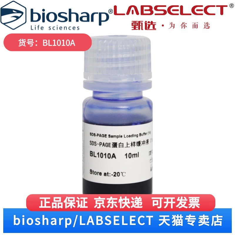 现货 SDS-PAGE蛋白上样缓冲液(1X) BL1010A 10ml/瓶 Biosharp/白鲨 科研实验