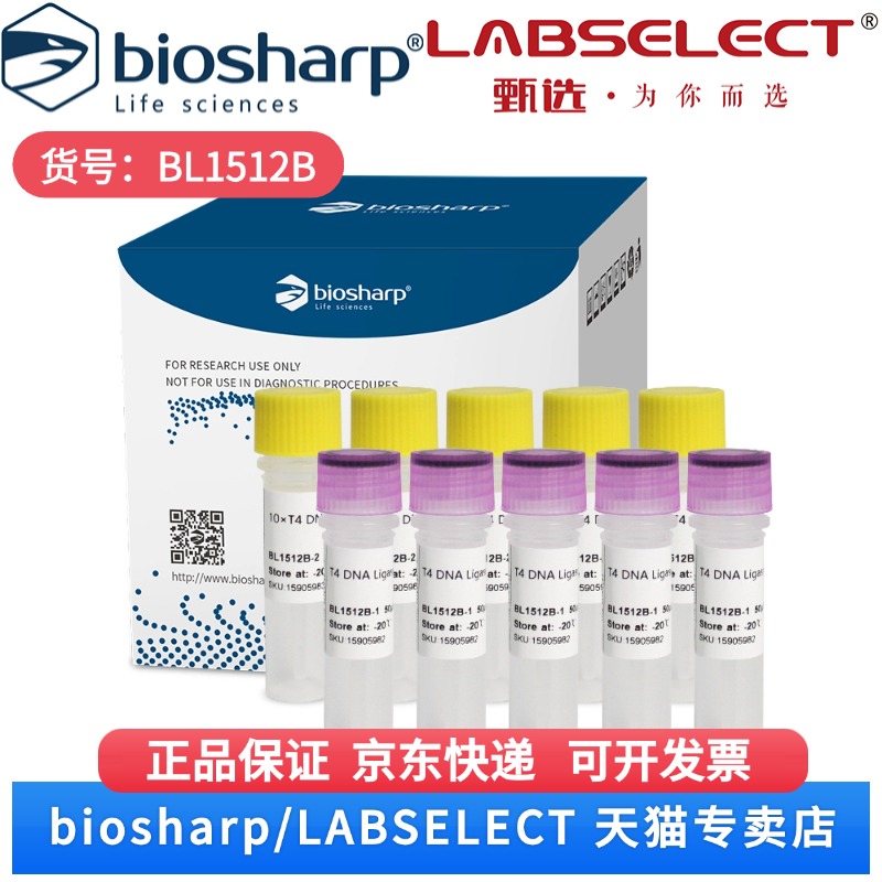 现货 T4 DNA连接酶(400 U/µL) BL1512B 20000 U×5 Biosharp/白鲨 科研实验
