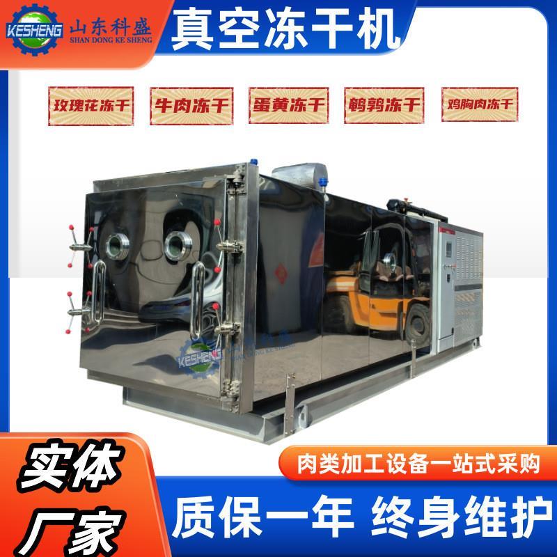 玫瑰花真空冻干机 水果蔬菜真空冻干设备 海鲜肉制品冻干机