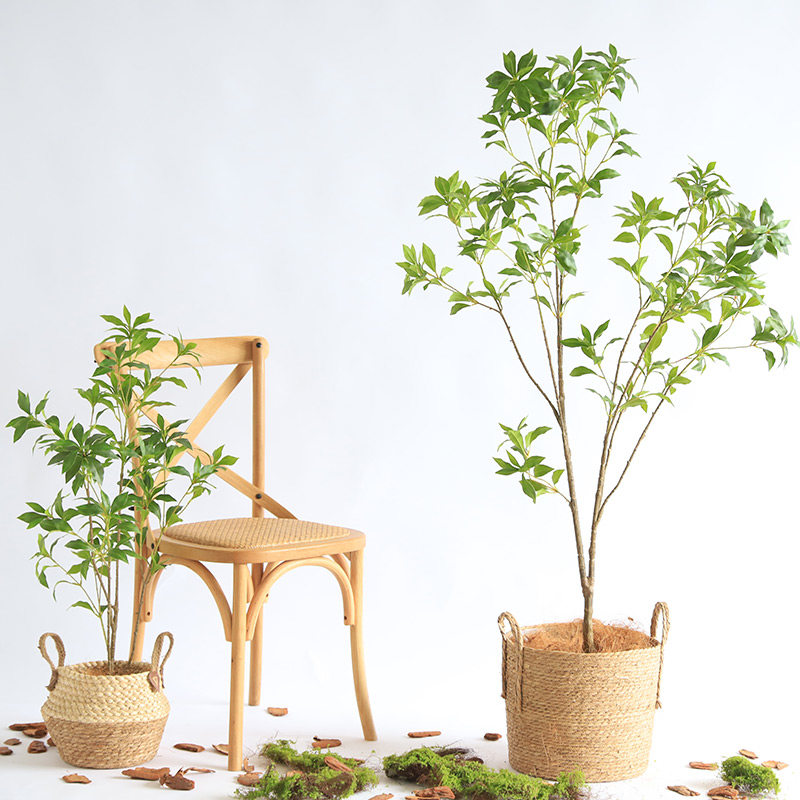 仿真树马醉木盆栽绿植造景室内装饰玄关楼梯植物假树W盆景景观摆