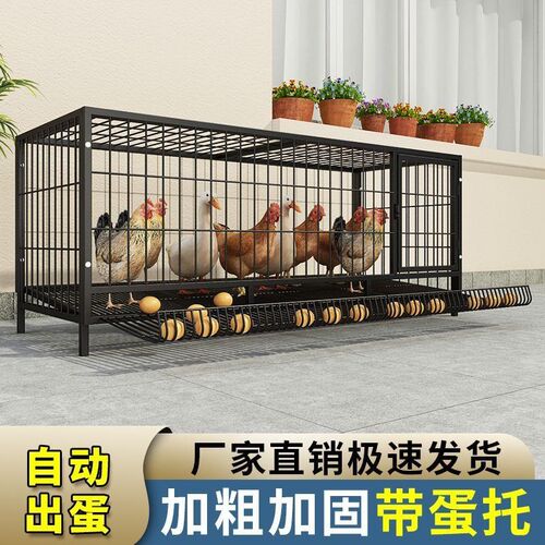 鸡笼子家用加粗大号养殖笼折叠鸭笼鹅笼狗笼自动T滚蛋鸡笼厂家直