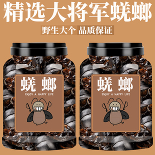 蜣螂中药材250g药用蜣螂野生新货整只高含量大将军推粪虫屎壳郎