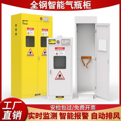 全钢防爆气瓶柜安实验室