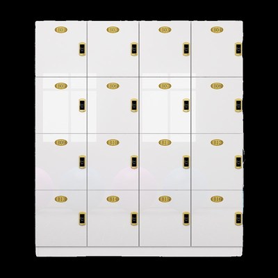 更衣柜员工柜密码锁四门六门瑜伽馆存包柜带锁定T制洗浴中心储物