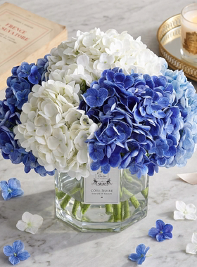 COTE NOIRE蓝色绣球高级感逼真仿真花扩香家居装饰治愈系香薰摆件