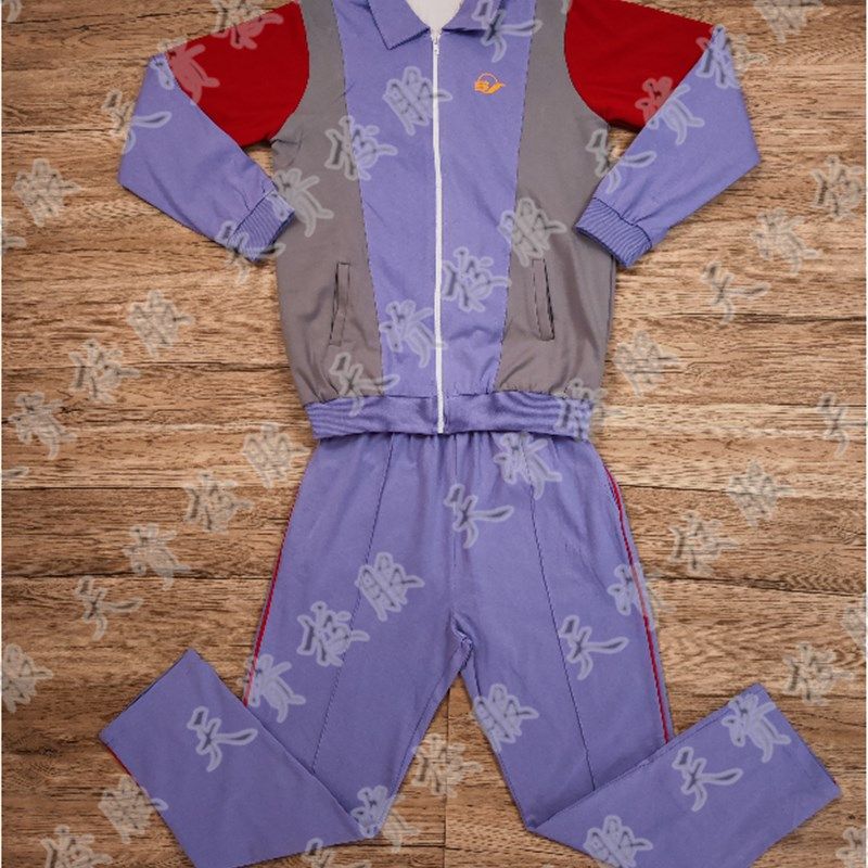 天资校服 潮州潮安沙溪宝山中学新款紫色中学生夏服秋冬加绒加棉