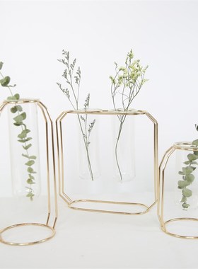 北欧金属铁艺水培容器玻璃试管花瓶干花插花创意家居客厅简约摆件