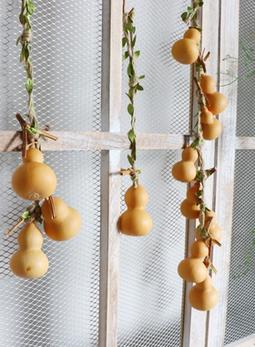 葫芦挂串天然小葫芦摆件手捻葫芦把文玩葫芦精品拍照道具墙饰挂件