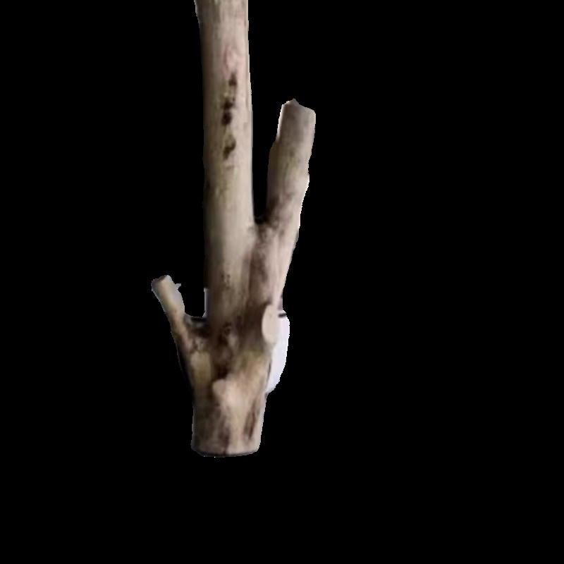 天然香樟树杆造型漫咖啡厅餐厅枯木摆件装饰橱窗造景去皮干树枝