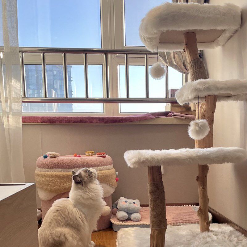 虎仔凯瑞树枝猫爬架猫树一体猫跳台猫抓板猫玩具磨爪宠物猫咪用品