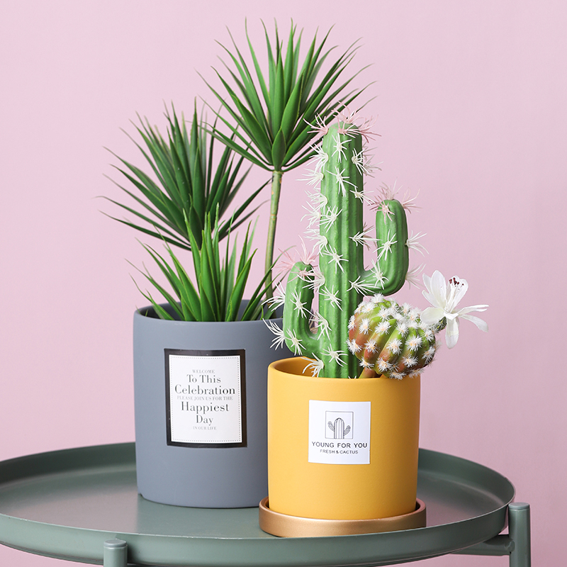 轻奢风北欧圆柱形花盆室内绿植绿萝仙人掌盆栽DIY花盆带金色托盘