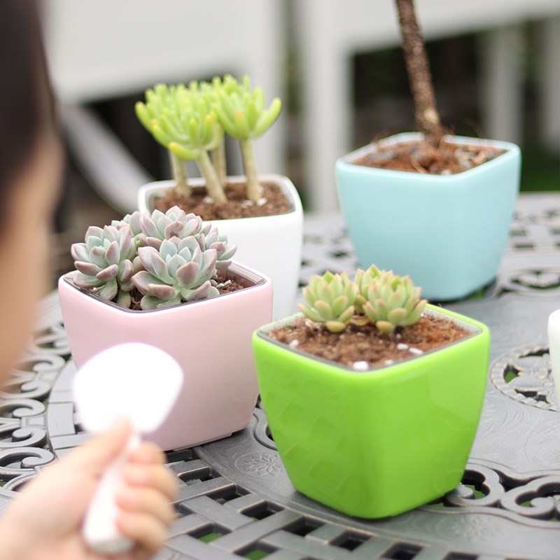 儿童节礼物卡通种植小花盆个性创意可爱多肉室内盆栽自吸水盆包邮