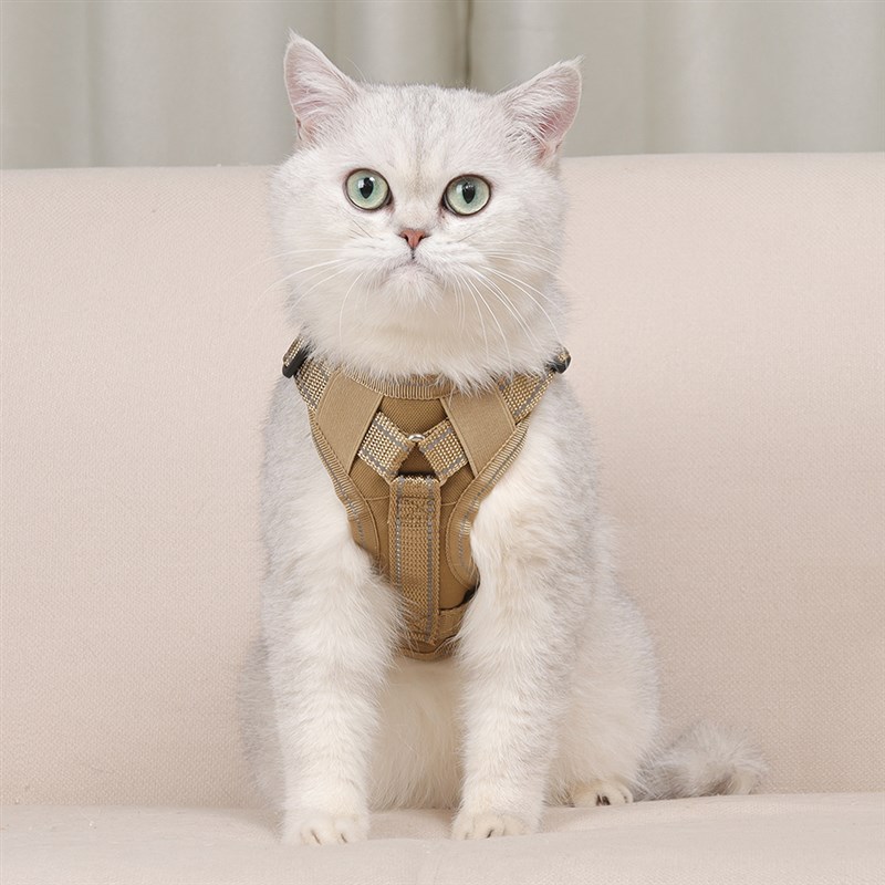 猫咪牵引绳猫外出专用防挣脱绳子宠物遛猫绳链子背心式手提胸背带