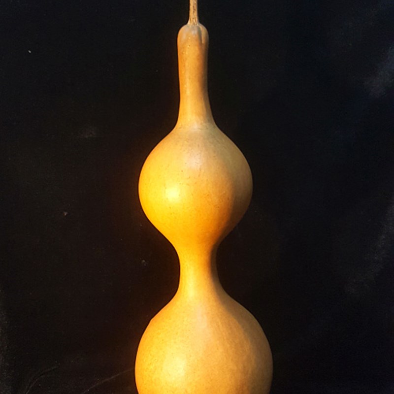 天一阁精品51cm本长大摆件三庭三亭三停迎福招财葫芦收藏品