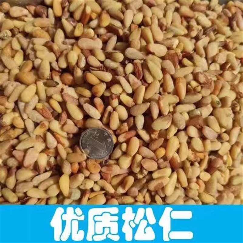 炒熟的松子仁肥料君子兰专用肥腰肥氮磷钾肥兰花用肥各种花卉通用