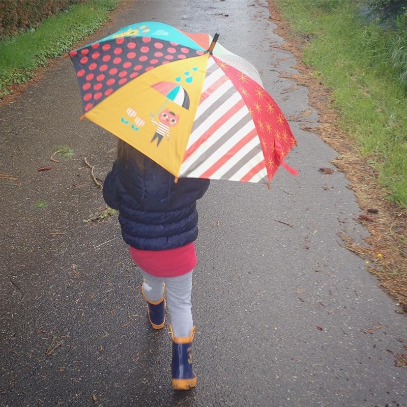 法国制造 Vilac儿童卡通木制手柄 设计师彩绘轻便长柄太阳伞雨伞