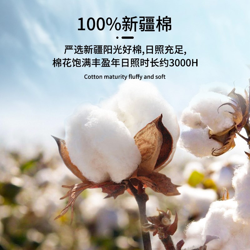 加厚纯棉床笠单件全棉床罩2024新款防尘全包床垫保护罩床单床套