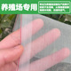 防虫网纱网窗纱防苍蝇蚊子大棚果树杨梅树农用养猪场尼龙加厚加密