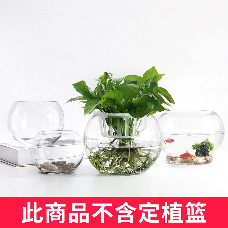 水培绿植玻璃透明花瓶水培绿萝发财树富贵竹圆球鱼缸容器无定植篮,家居饰品,花瓶,淘宝优惠券,粉丝福利购,淘宝优惠卷