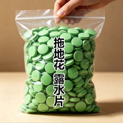 浓缩强效强力拖地专用花露水泡腾片清洁蚊虫家用宿舍酒店清洁香水