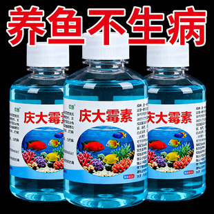 庆大霉素液金鱼病专用养鱼护鱼白点白毛掉磷蒙眼鱼缸水质稳定剂