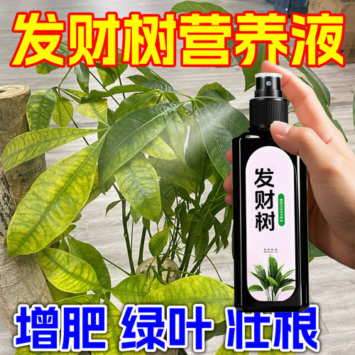 发财树专用营养液肥营养液黄叶家用绿植花卉室内花肥稀释盆栽肥料