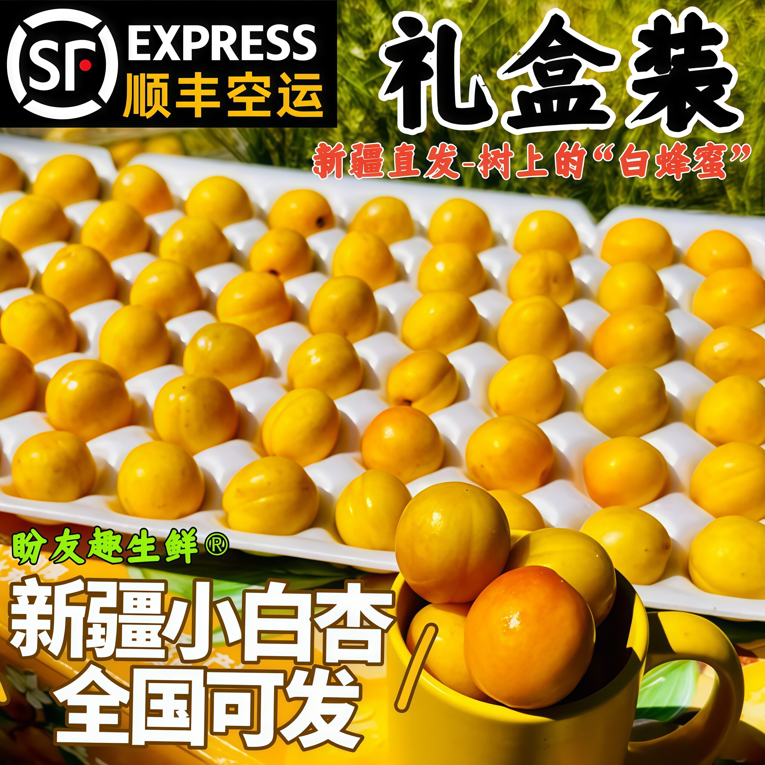 【顺丰空运】新疆小白杏子轮台小白杏彩箱礼盒新鲜水果现摘直发
