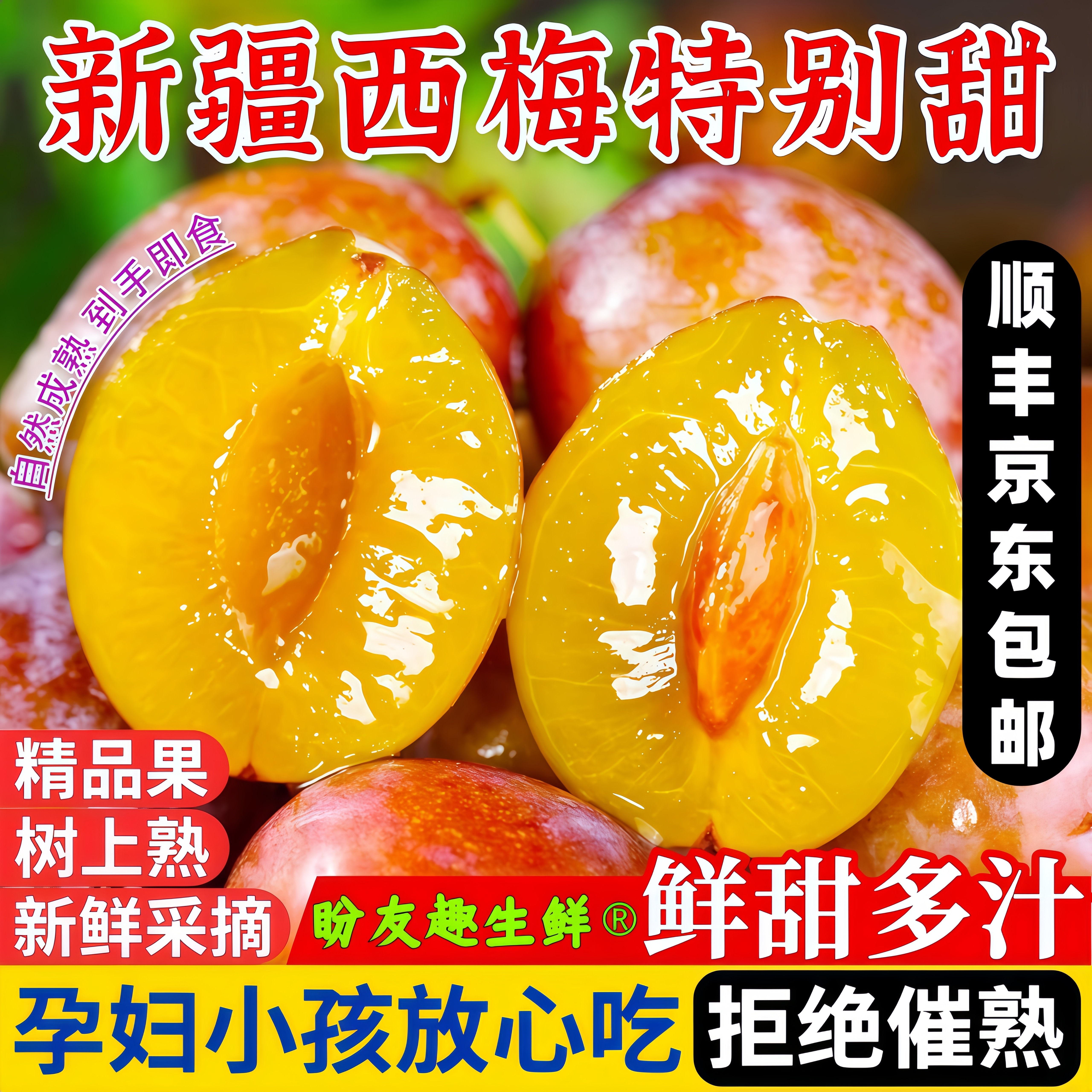 正宗新疆喀什法兰西西