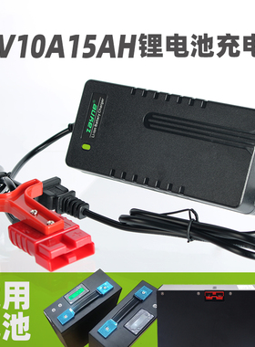 电动叉车 杭叉江淮柳工合力搬运托盘48v10ah15ah锂电池智能充电器