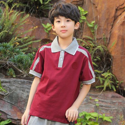 东莞市凤岗镇小学生统一校服棉短袖T恤短裤夏季套装凤岗小学校服