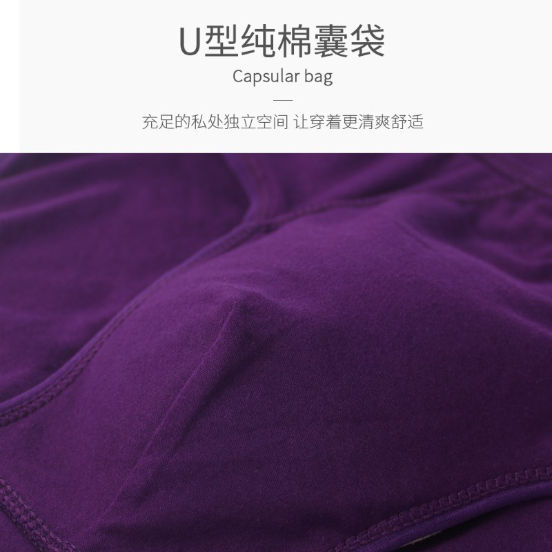 4条金将纯棉男士内裤三角裤中腰性感舒适透气大码裤衩全棉短裤头