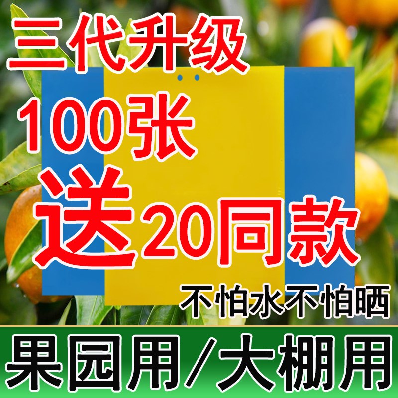 双面粘虫板黄板诱虫板果园大棚防虫板果蝇针蜂诱捕器蓟马贴蓝板