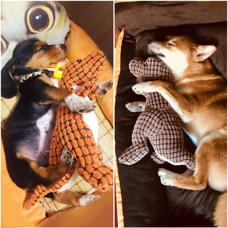 宠物狗狗发泄性玩具耐咬磨牙发声幼犬泰迪柯基法斗狗咬毛绒小型犬