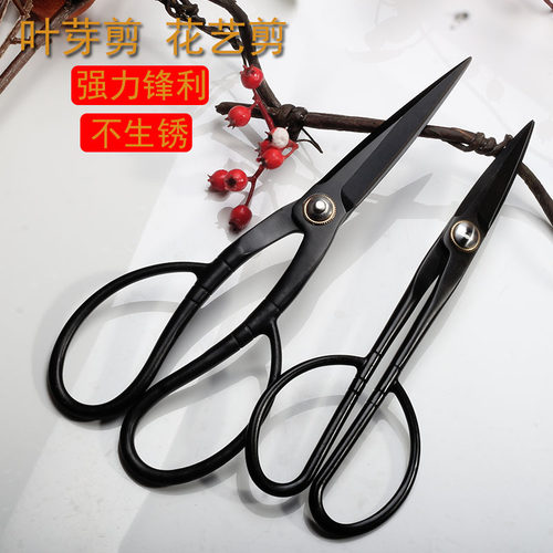 不锈钢叶芽剪盆景专用工具剪刀月季修枝剪园艺修花专业花剪插花剪