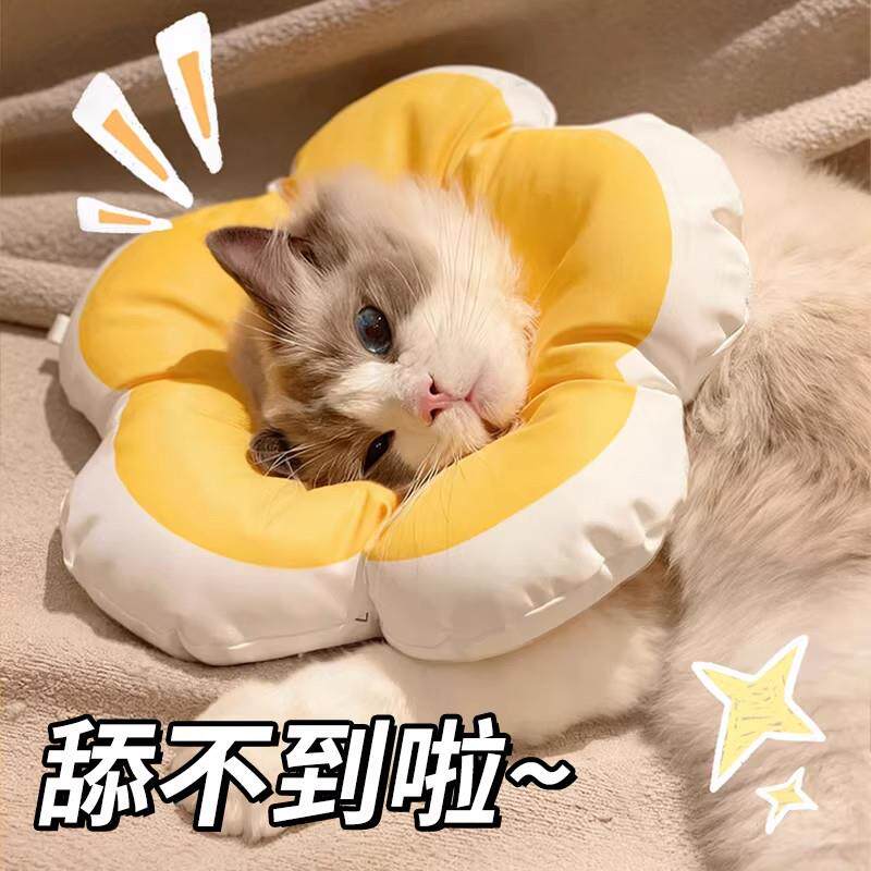宠物伊丽莎白圈猫咪项圈围脖防舔狗狗脖圈伊利沙白圈绝育头套软圈