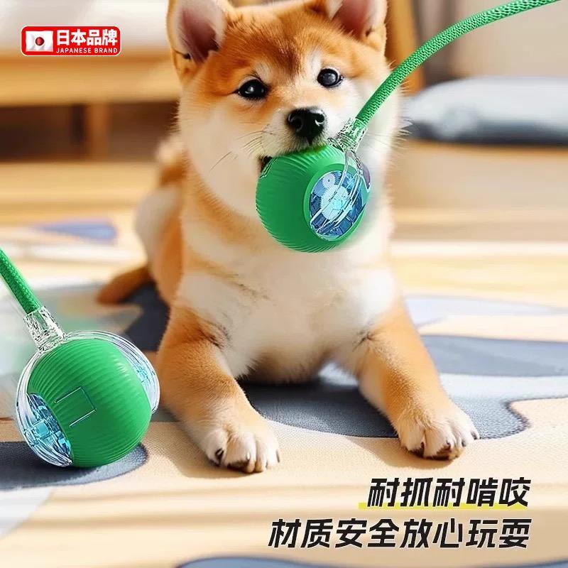 日本猫咪玩具自嗨解闷逗猫棒智能避障球自动逗猫球猫电动玩具用品