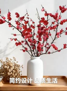 红梅水培干枝水养鲜花卉梅花鲜枝珍珠李室内客厅cyh