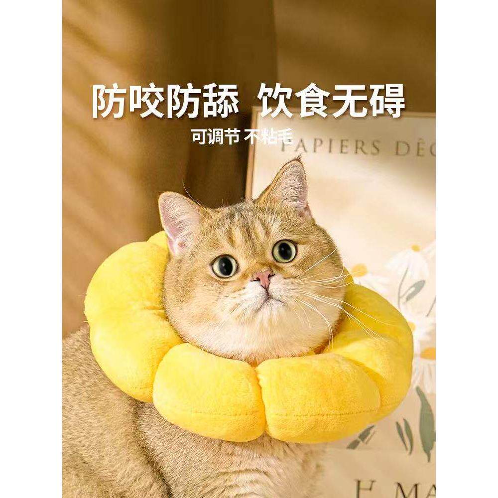 伊丽莎白圈猫绝育项圈防咬防舔猫咪脖圈颈圈头套狗狗围脖宠物用品