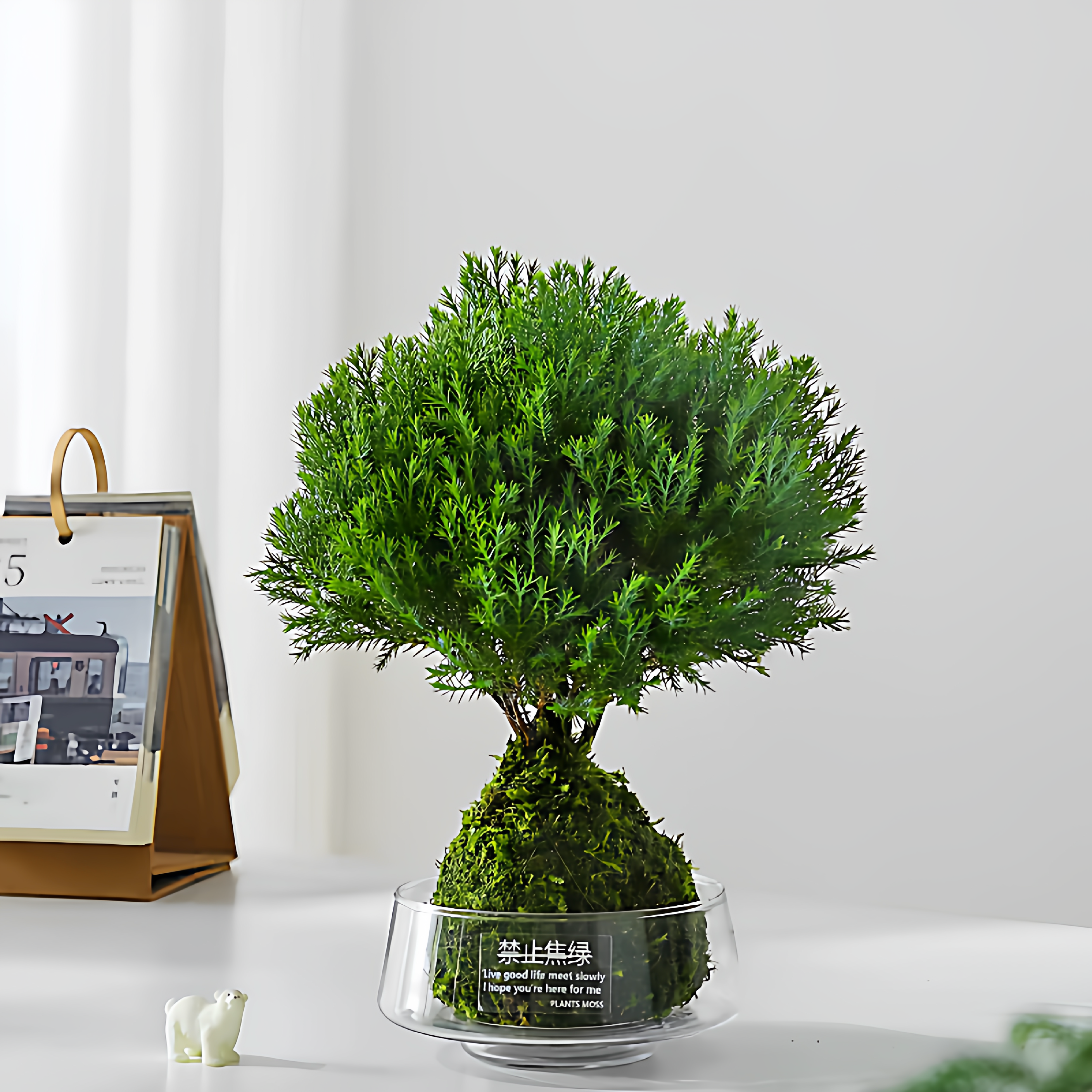 新中式透明玻璃花盆创意仿真苔藓花瓶乌龟小鱼缸水培绿植盆栽花器