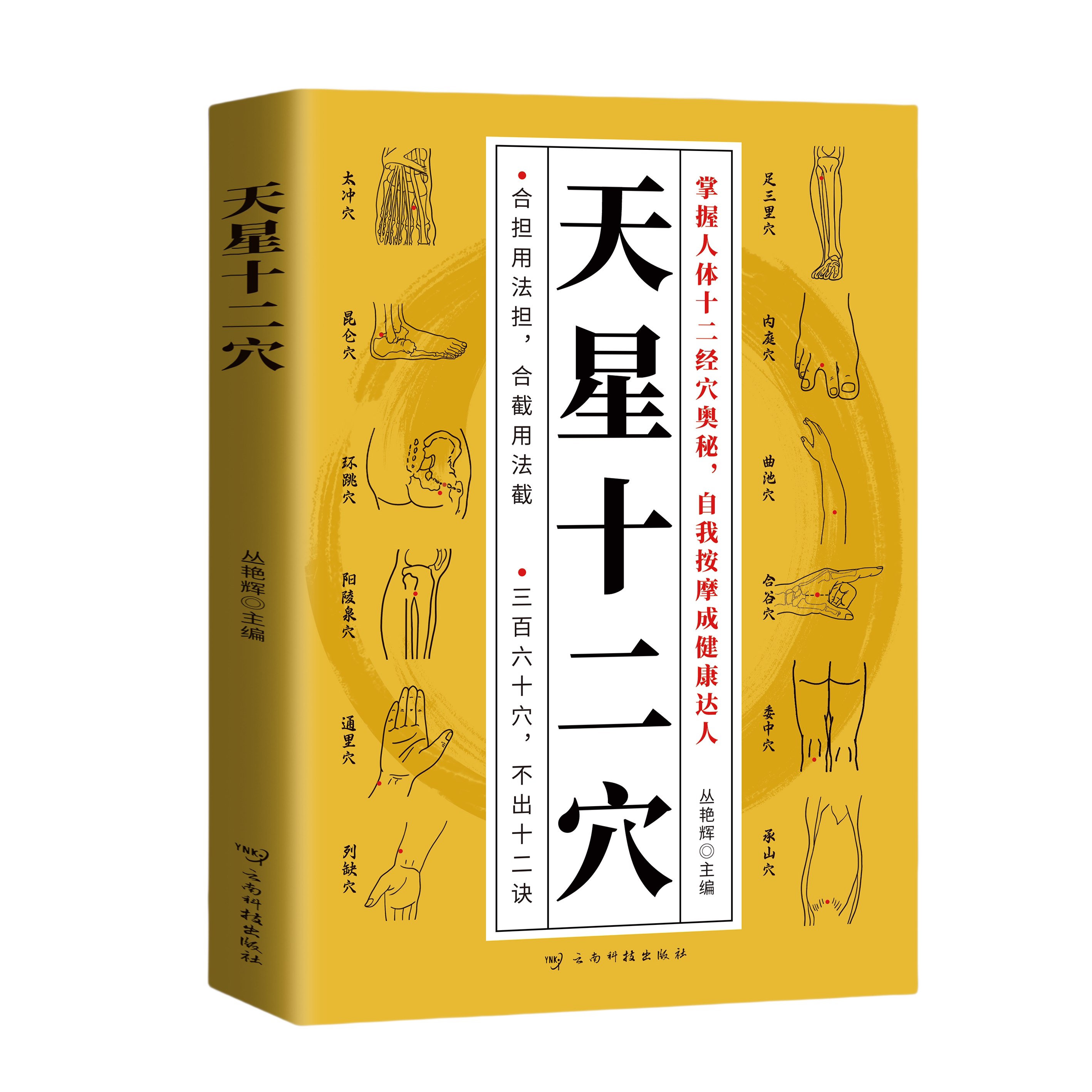【5本20元全店任选】正版天星十二穴掌握人体十二经穴奥秘自我按摩成健康达人中医基础